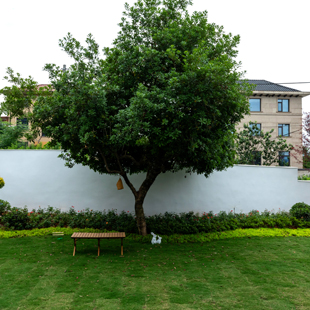 亚洲精品一区二区三区麻豆