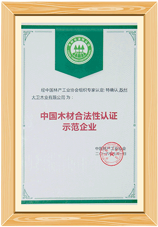 亚洲精品一区二区三区麻豆